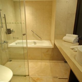 Deluxe Room (Bathroom)