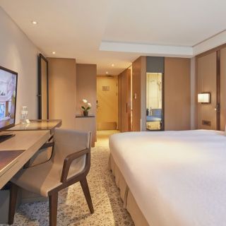 Deluxe King Room (Overview)