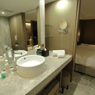 Deluxe Suite (bathroom)