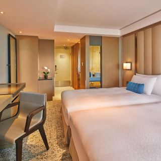 Deluxe Twin Room (Overview)